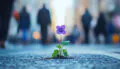 A small purple flower growing through the asphalt of an urban street